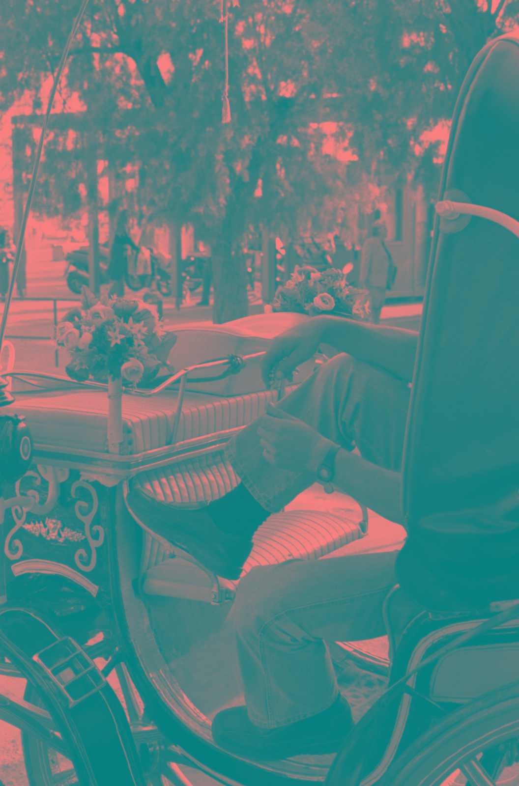 Greece, Aigina, horse coach driver